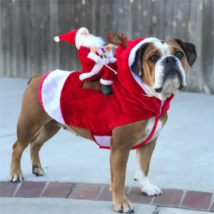 Hundkläder Till Jul